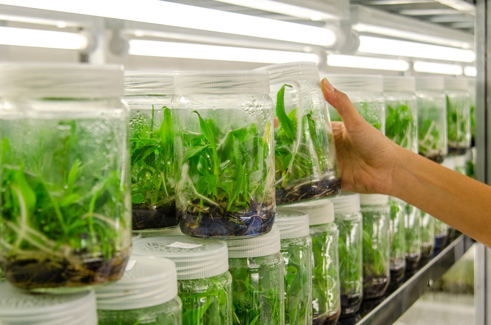 Tissue culture trading